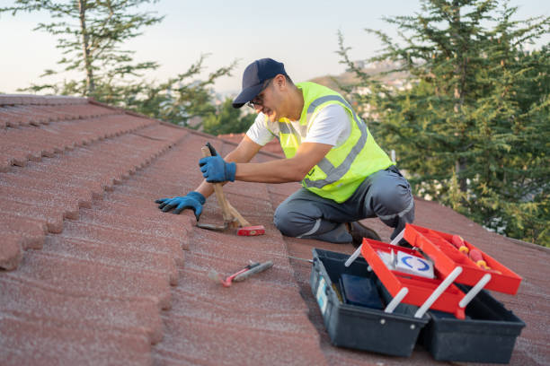 Best Roof Replacement Cost  in University Center, VA