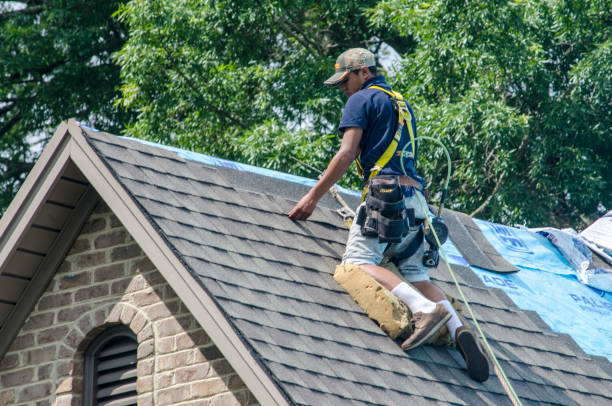 Best Roof Maintenance Services  in University Center, VA